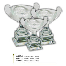 Crystal Glass Trophy NC8123 NC8123
